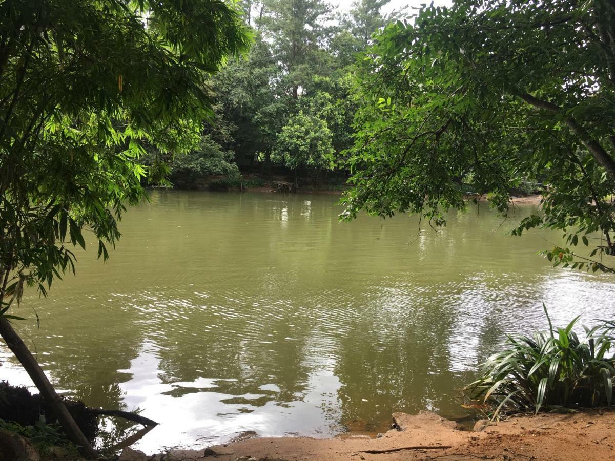 Jenushi Homestay Kandy Eksteriør billede