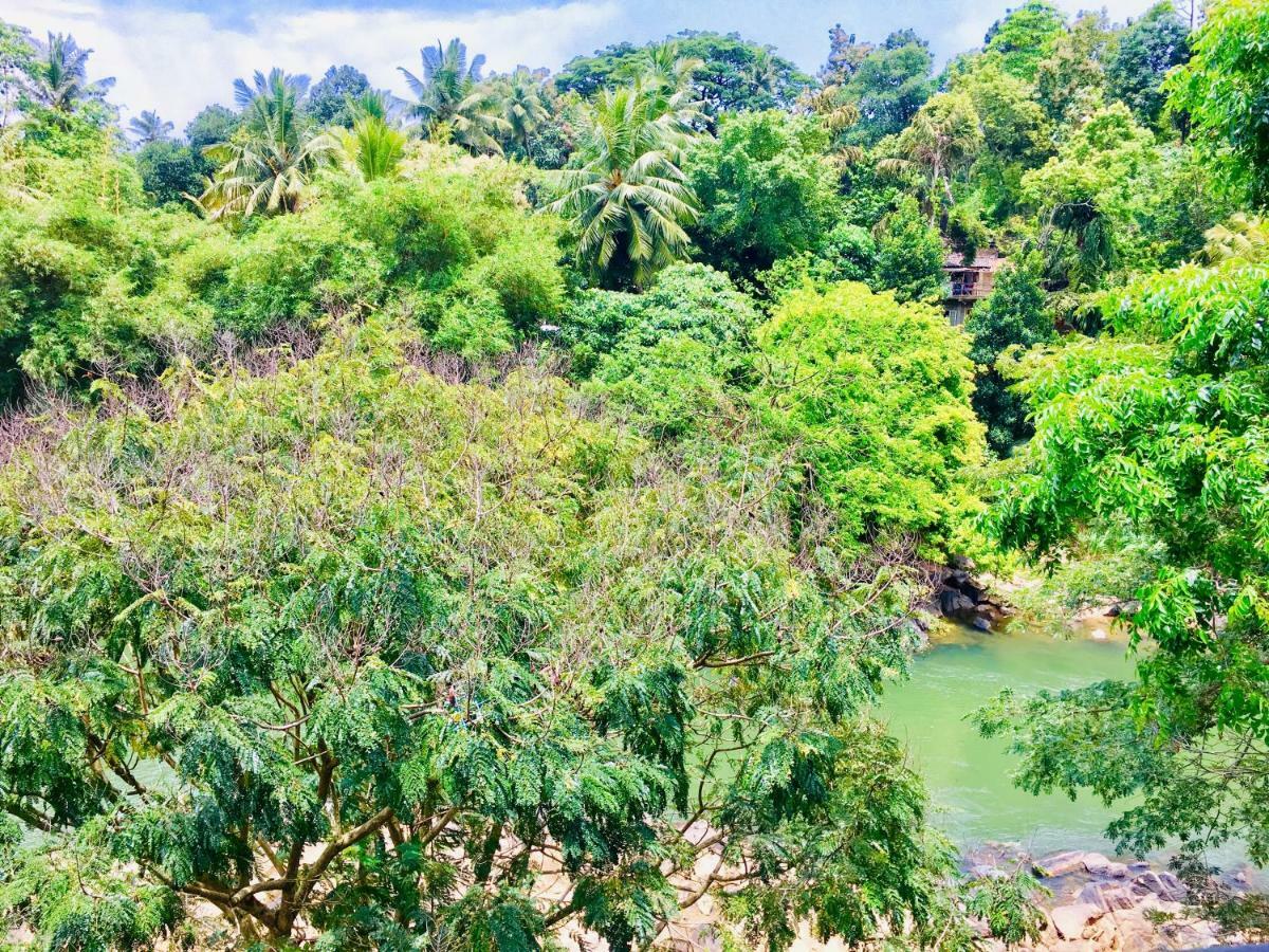 Jenushi Homestay Kandy Eksteriør billede